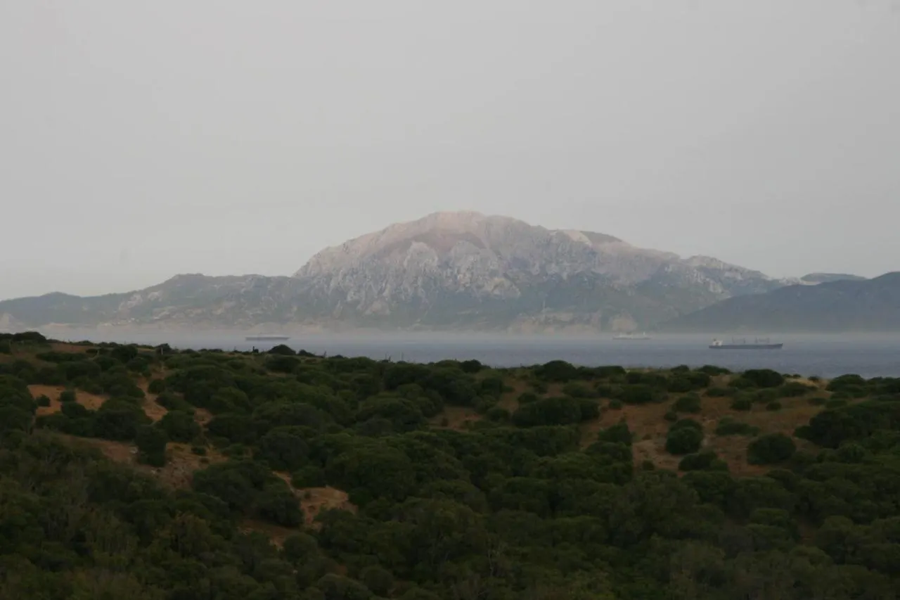 Apartmán La Ballenita De Tarifa