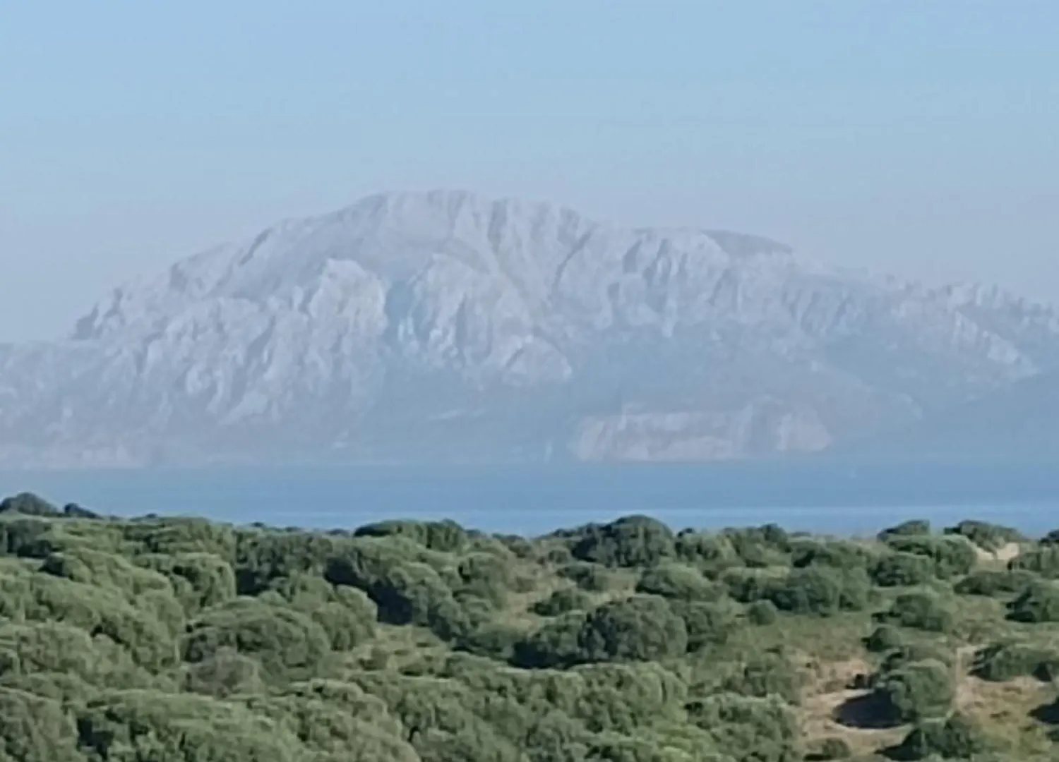Apartmán La Ballenita De Tarifa